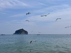 -棒棰岛宾馆景区