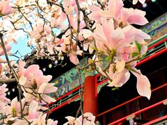 -潭柘寺景区