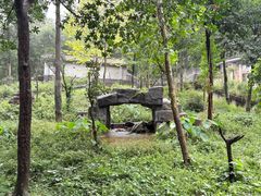 -中国大熊猫保护研究中心雅安碧峰峡基地
