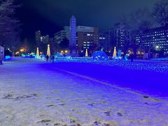 -大通公园