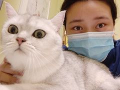 -瑞鹏宠物医院·骨科·猫科·内科(第一中心)