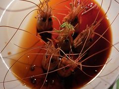 -桂满陇·桃花院落(长泰广场店)