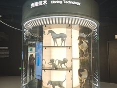 -上海科技馆(地铁站)