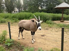 -大连森林动物园