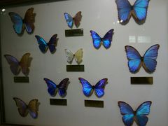 -上海昆虫博物馆