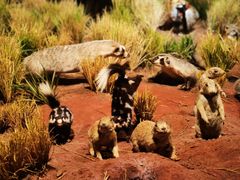 -陕西自然博物馆