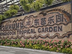 -东芭乐园