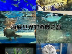 -成都浩海立方海洋公园