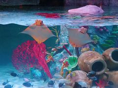 -沈阳海洋探索中心