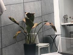 -UNIUNI(凯瑟琳广场店)