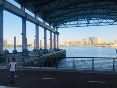 -滨江攀岩