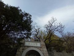 -北京鹫峰国家森林公园