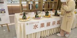 -宝生月子中心·独栋独院式(南山店)