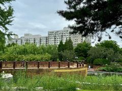 -元大都城垣遗址公园