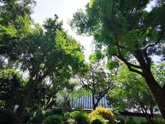-上海醉白池公园