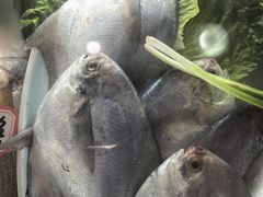 -吕四渔港码头海鲜餐厅