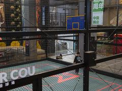 -运动派(北京店)