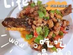 -煲来饱去冷水鱼