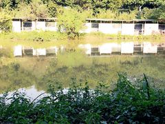 -松山湖梦幻百花洲