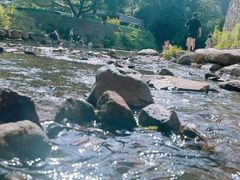 -北仑森林植物园