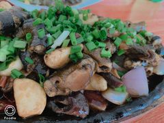 -凤嫂农家乐(梁弄店)
