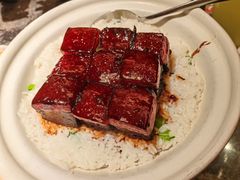 -新白鹿餐厅(松江开元地中海店)
