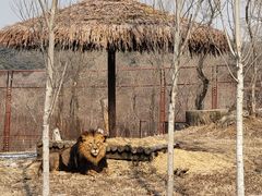 -沈阳森林动物园