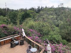 -厦门园林植物园-植物园滴水山房