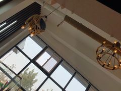 -西元前宠物酒店(郑庄府邸店)