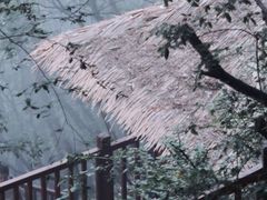 -终南山南五台景区