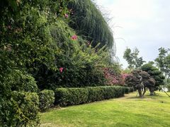 -成都当代影像馆