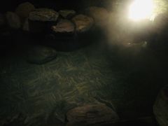 -英德宝晶宫天鹅湖茶语温泉