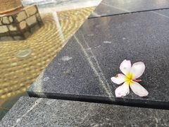 -三亚湾红树林度假世界(木棉酒店)