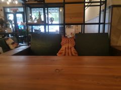 -之悦咖啡馆(新星宇·之洲店)