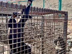 -水上乐园·欢乐世界