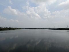 -南湖湿地公园
