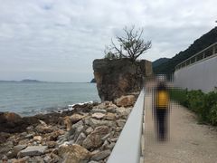 -杨梅坑