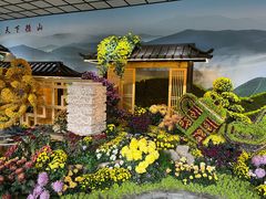 -杭州植物园
