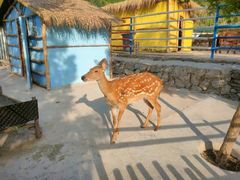 -西部长青自然儿童乐园