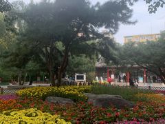 -宣武艺园