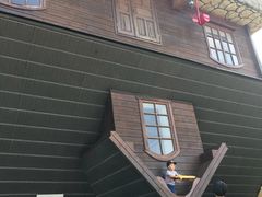-金山农民画村-枫泾波兰倒置屋