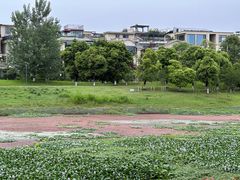 -两河城市森林公园