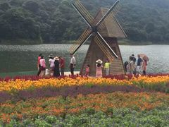 -广州市石门国家森林公园