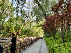 -迎泽公园