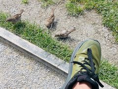 -Fergbaker(皇后镇店)