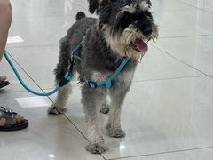 -美联众合动物医院·24h京西诊疗中心