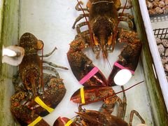 -南沙十九涌渔人码头-南门