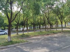 -安飞驰驾校·学车连锁(金高店)