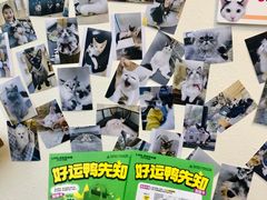 -光明广场