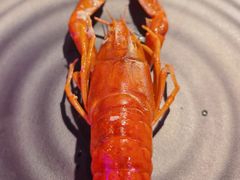 -红盔甲·小龙虾(车公庙店)